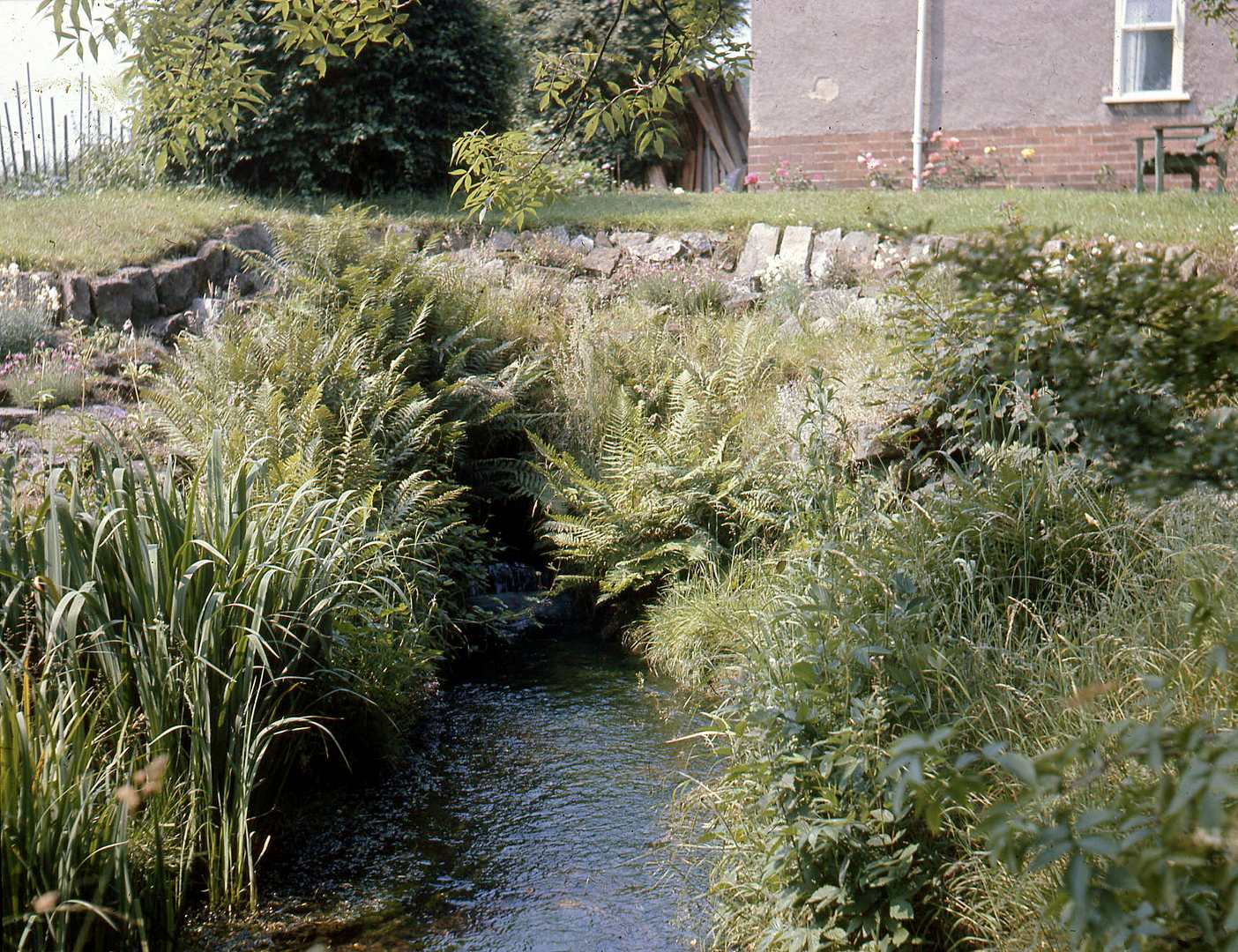 Tail of Calver Sough 1971